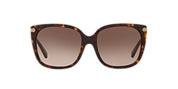 coach Sunglasses hc8272 l1097