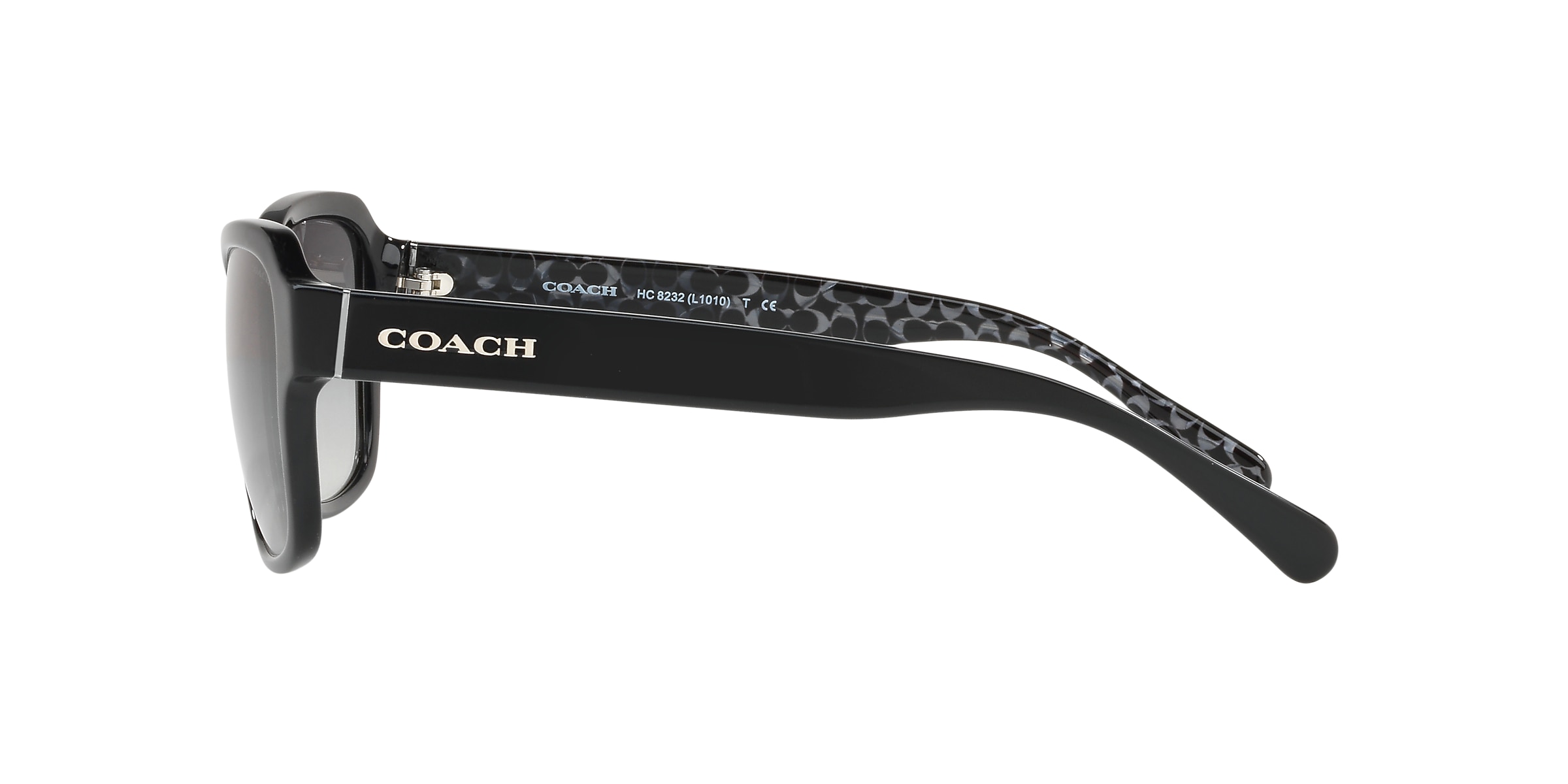 Coach Sunglasses HC8232 L1010