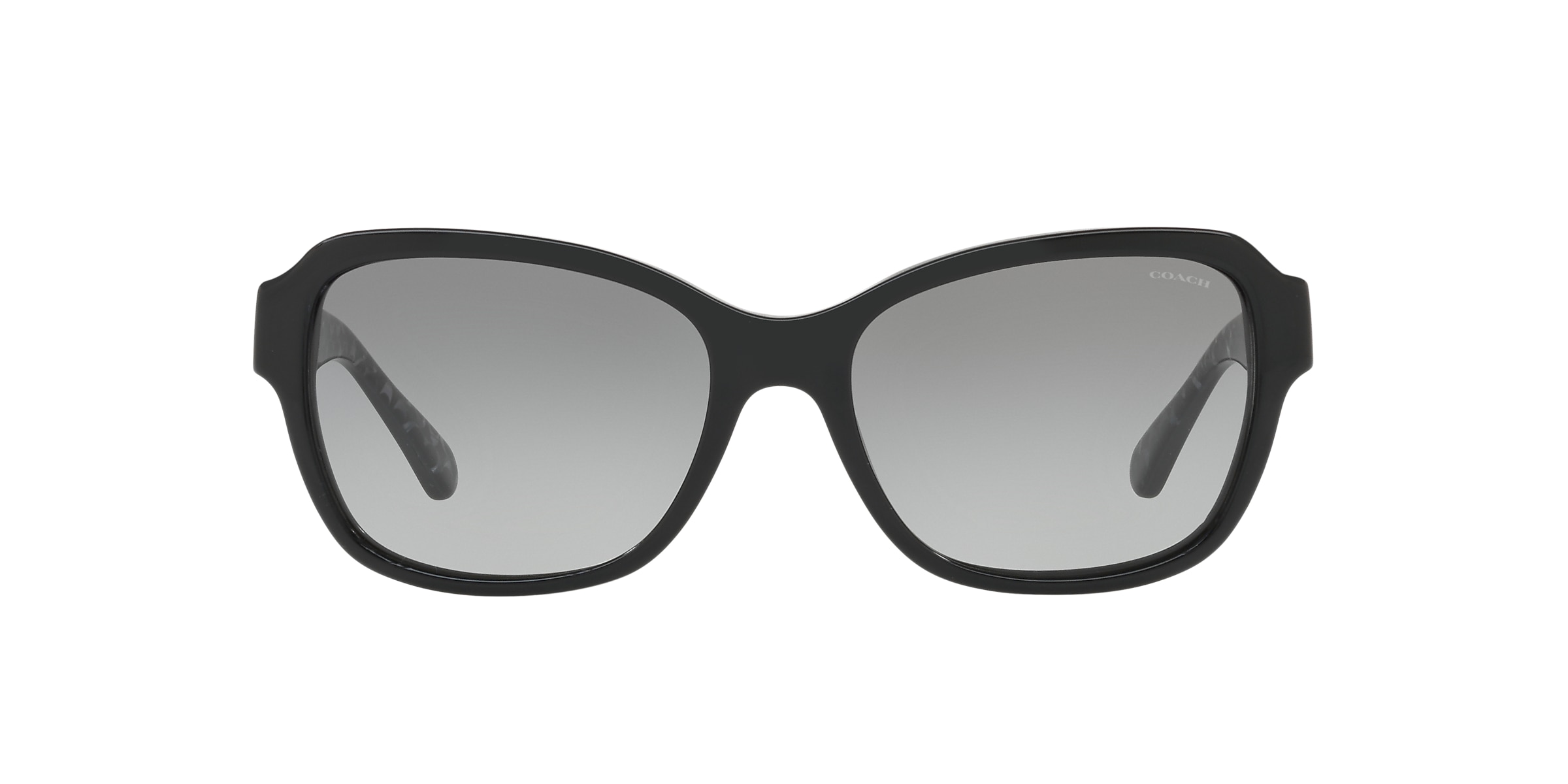 Coach Sunglasses HC8232 L1010