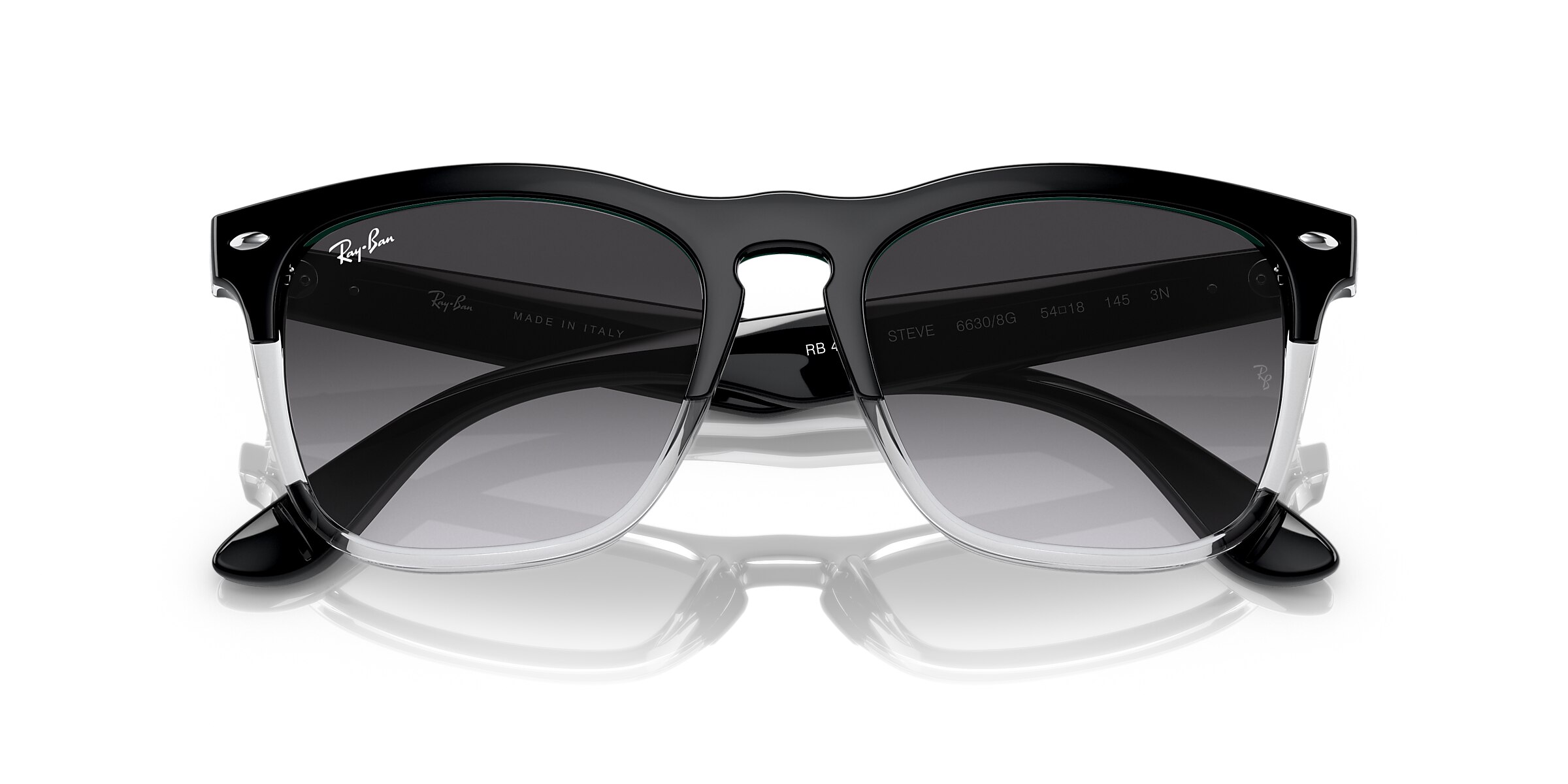 Ray-Ban Sunglasses RB4487 STEVE