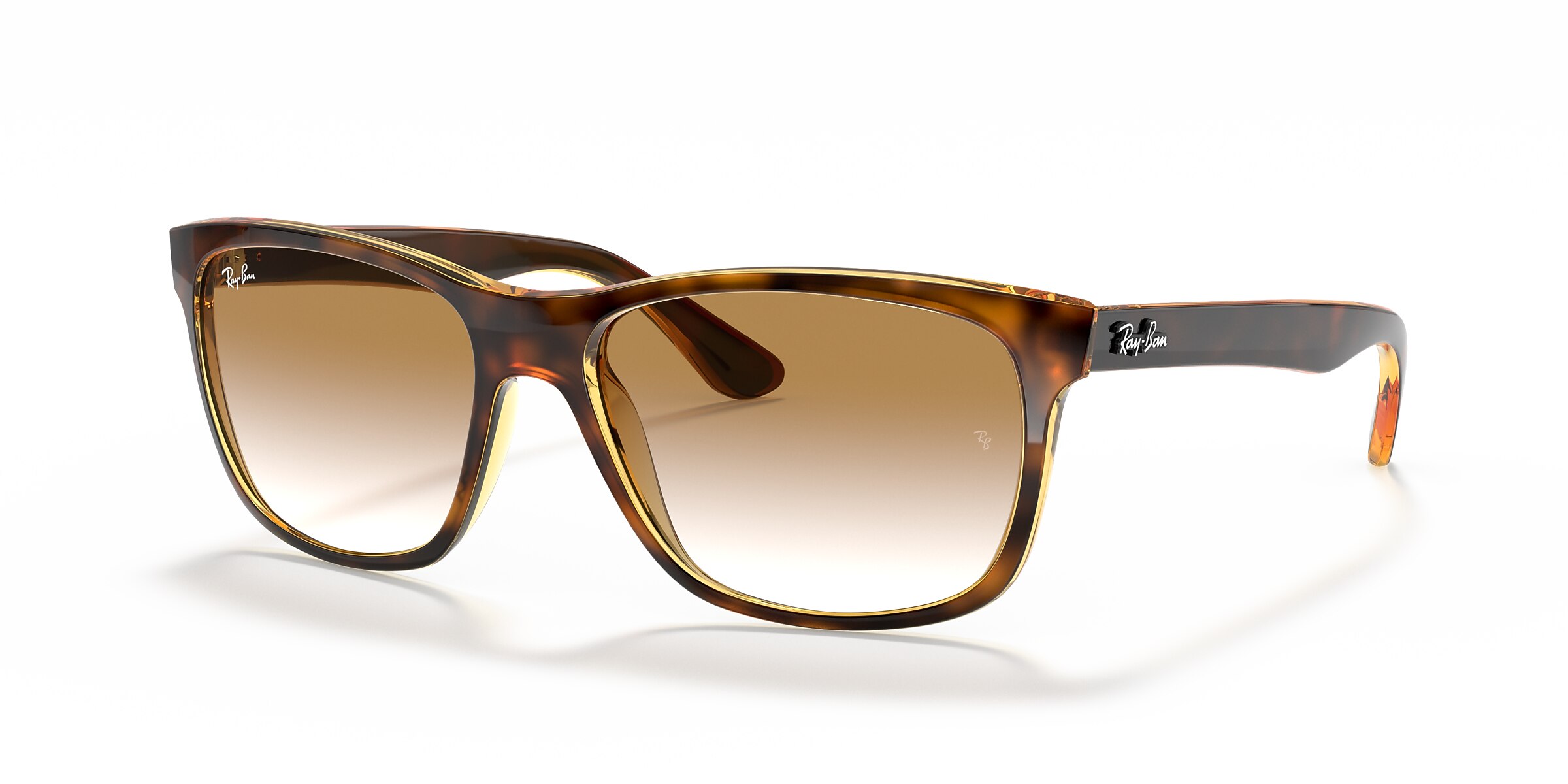 Ray-Ban Sunglasses RB4181