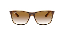 ray-ban Sunglasses rb4181