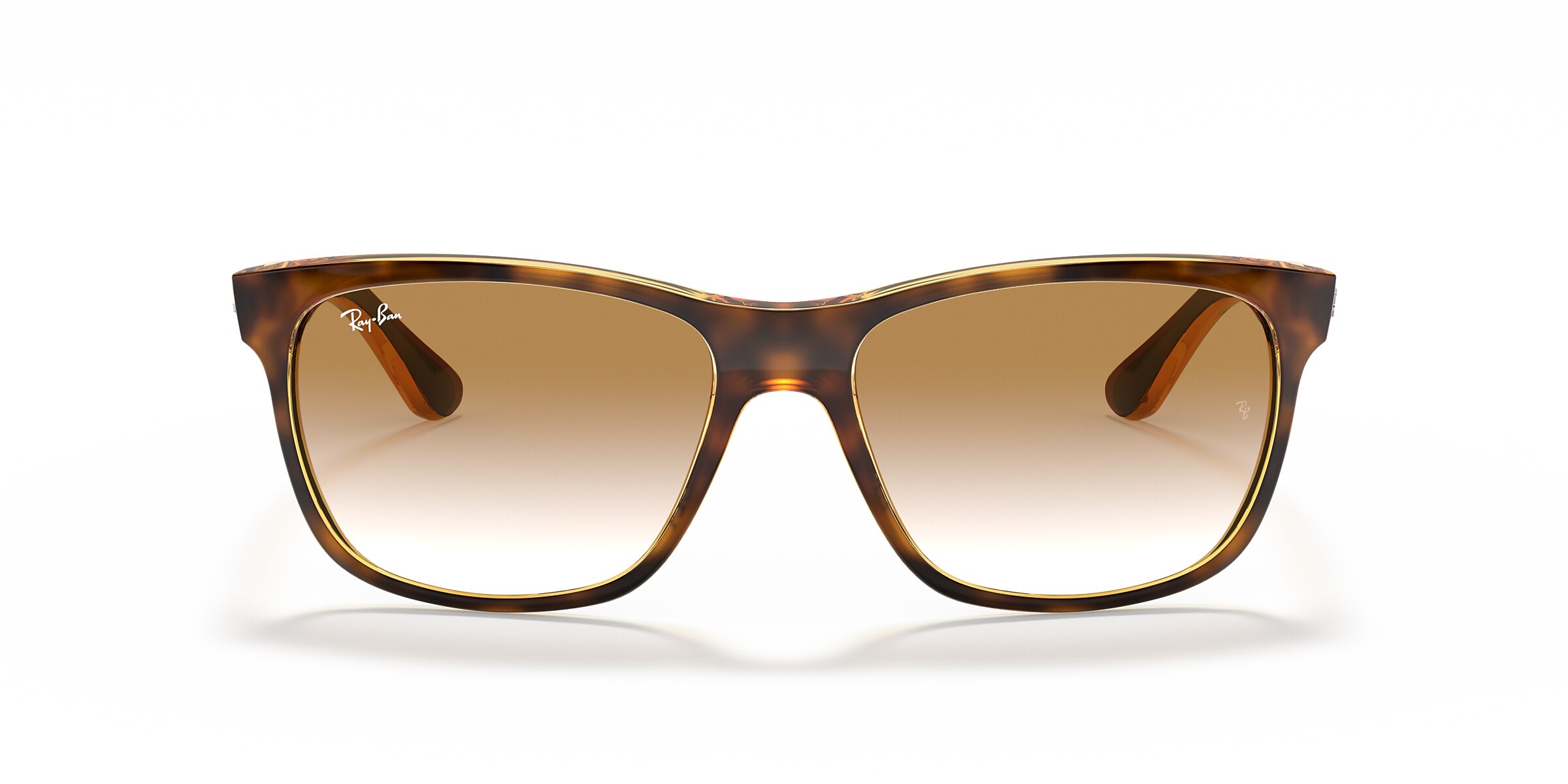 Ray-Ban Sunglasses RB4181