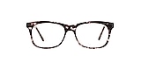 Clearly Glasses HAMILTON