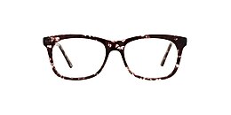 Clearly Glasses HAMILTON