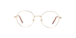 clearly Glasses gander