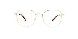 clearly Glasses arche