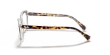 RB5366 OPTICS