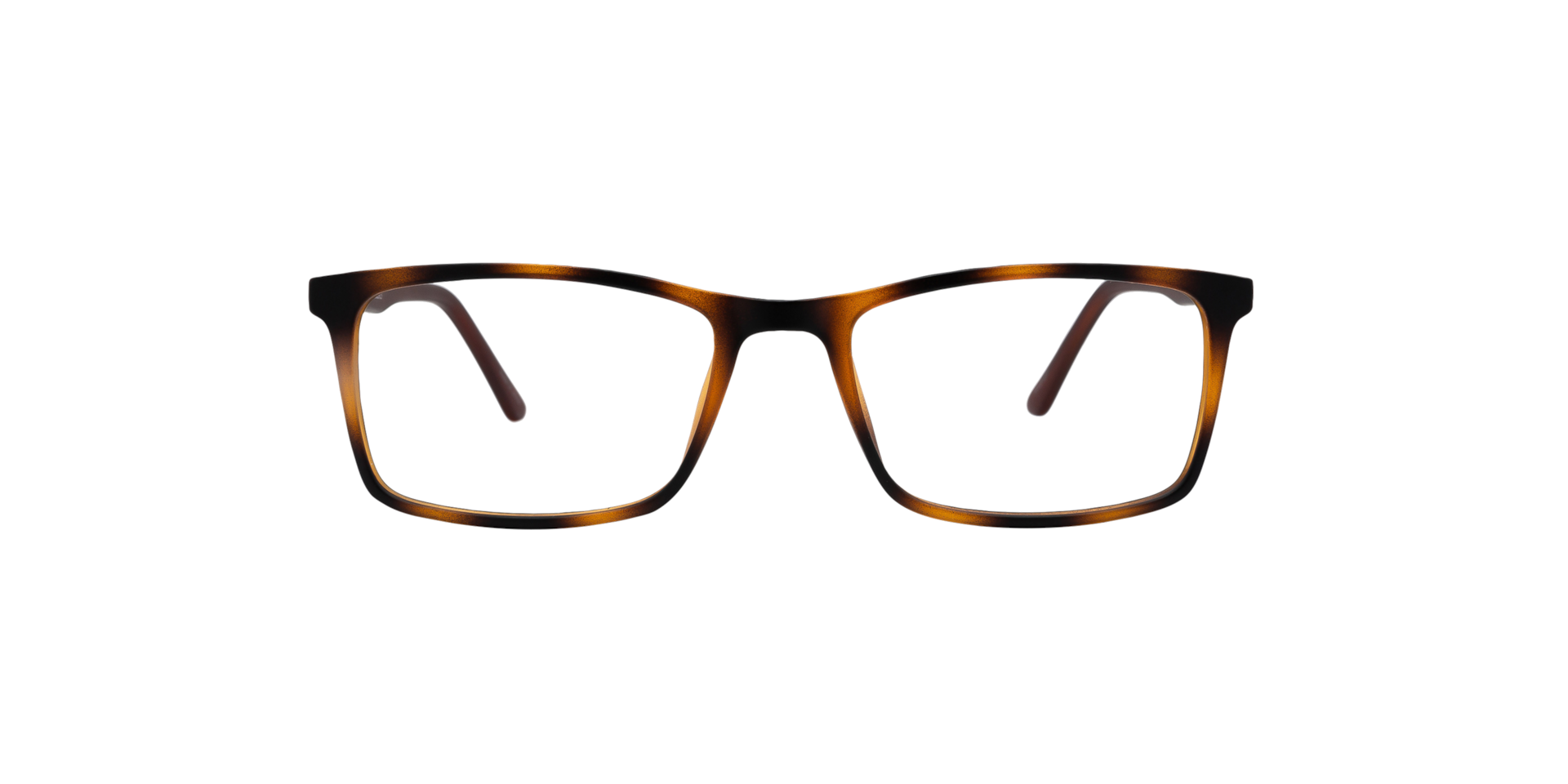 Clearly WASAGA Brown, Size: M