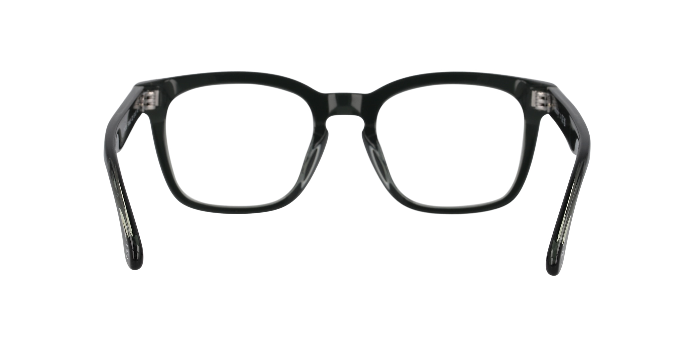 Clearly Glasses FRINGE