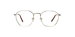 clearly Glasses camrose