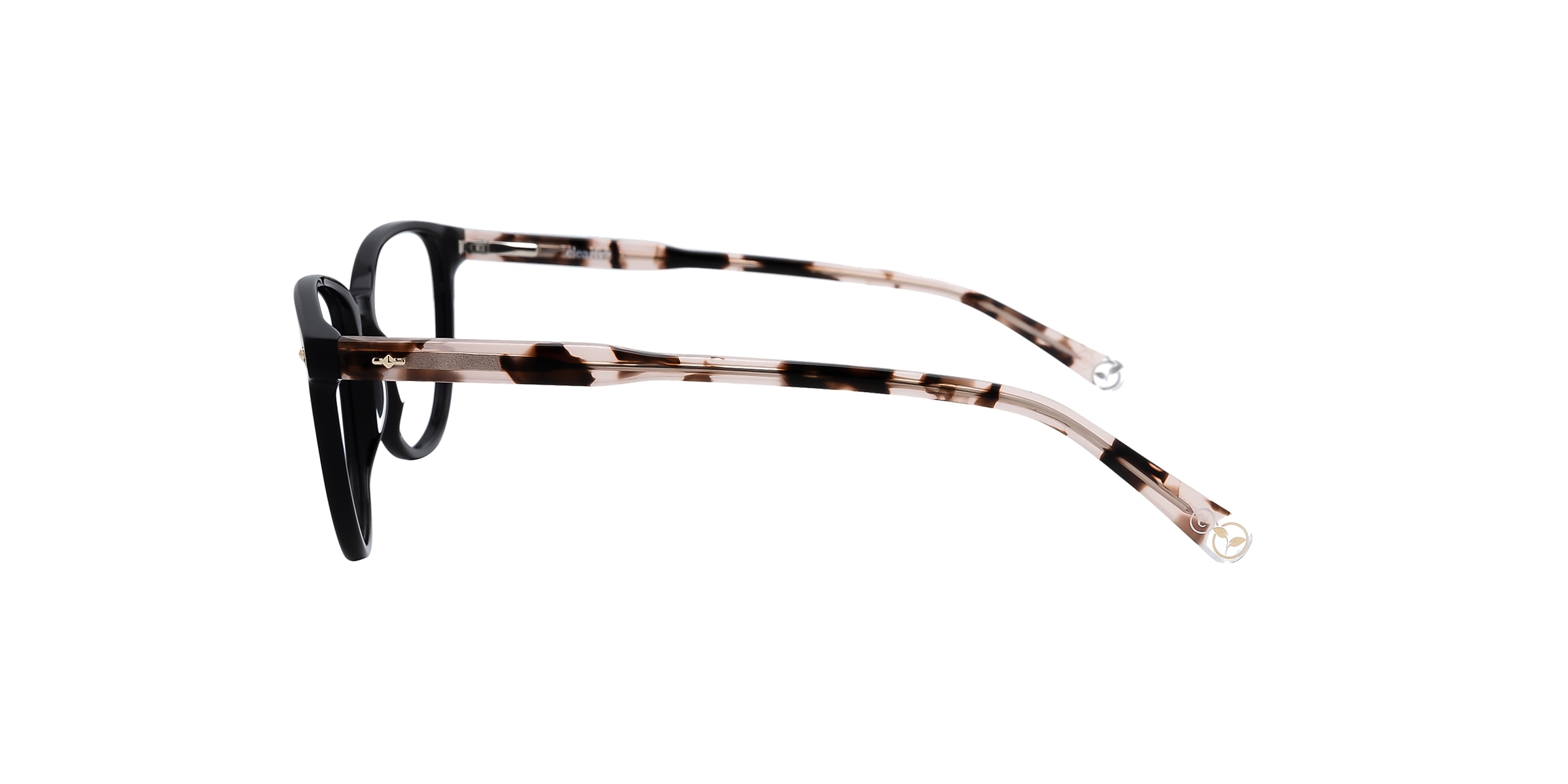 Clearly Glasses BANYAN