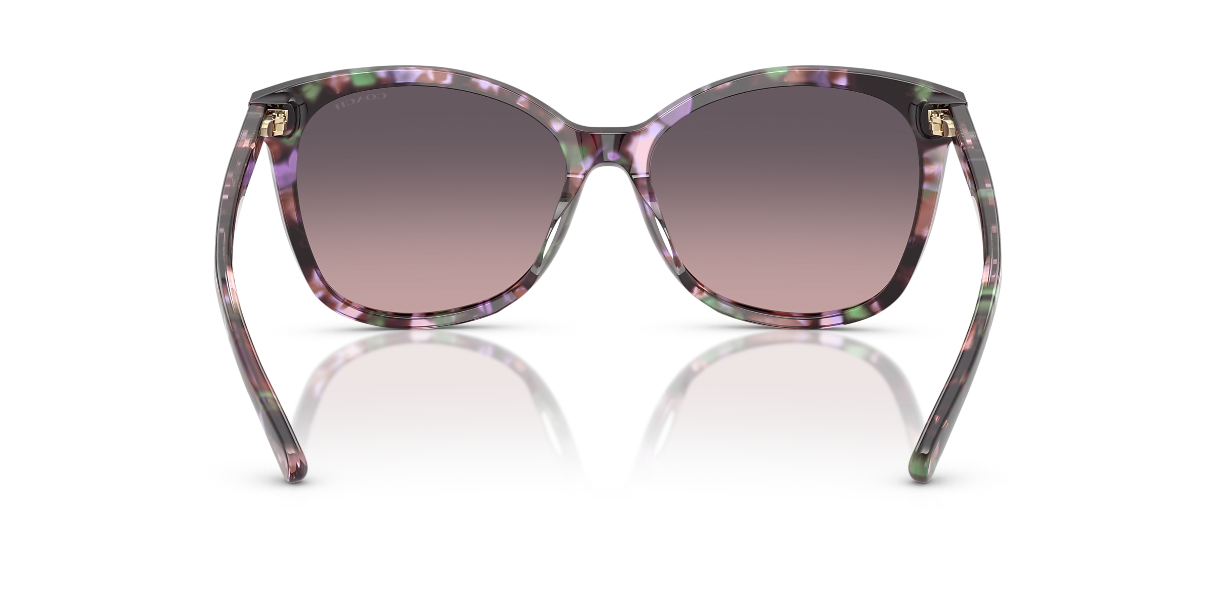 Coach Sunglasses HC8271U L1101