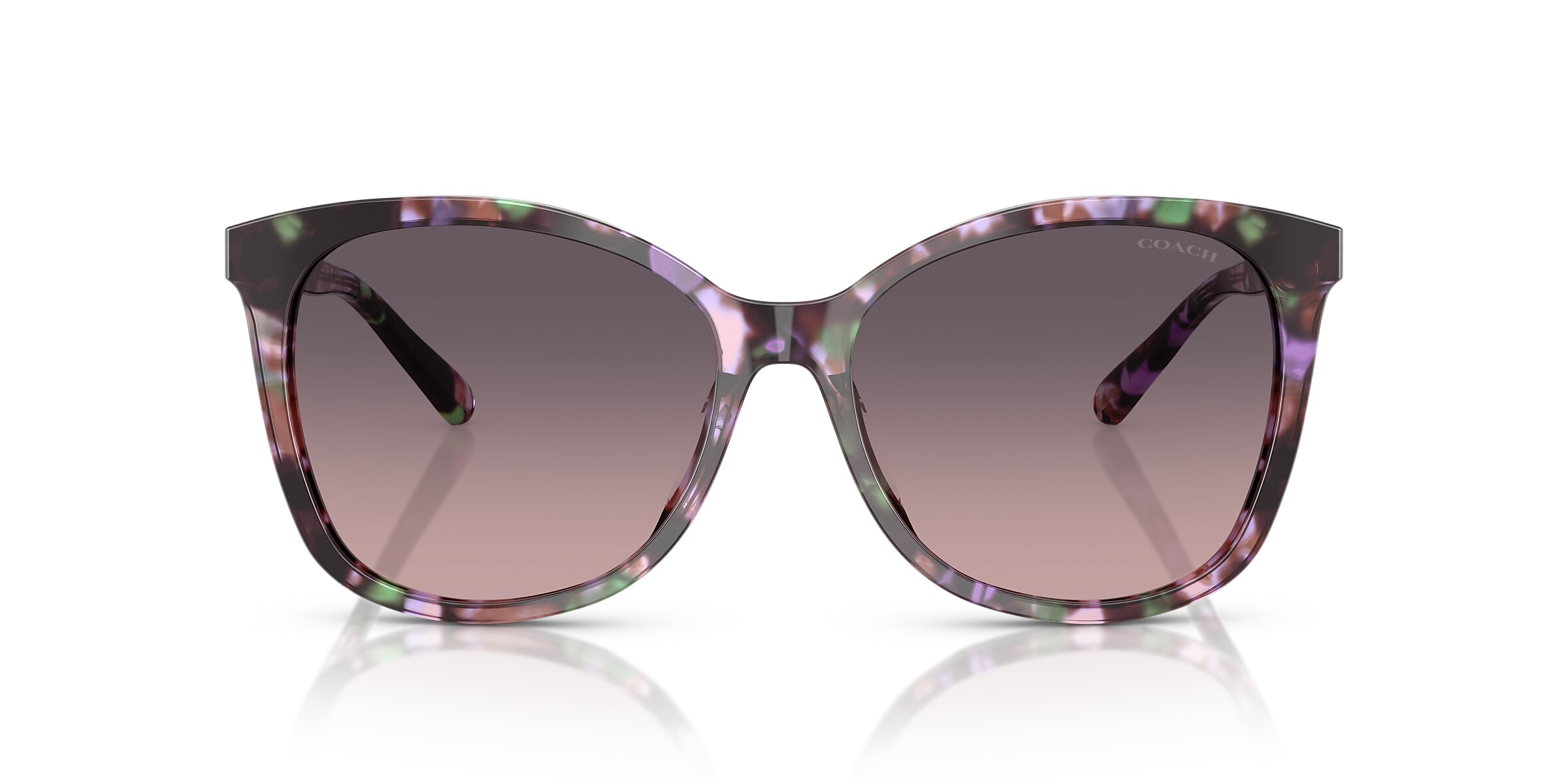 Coach Sunglasses HC8271U L1101