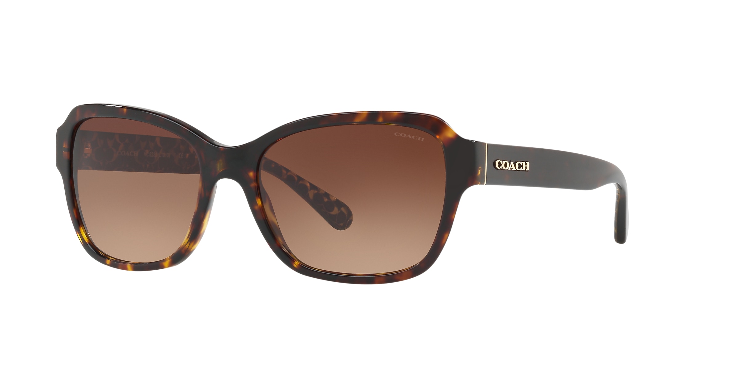 Coach Sunglasses HC8232 L1010