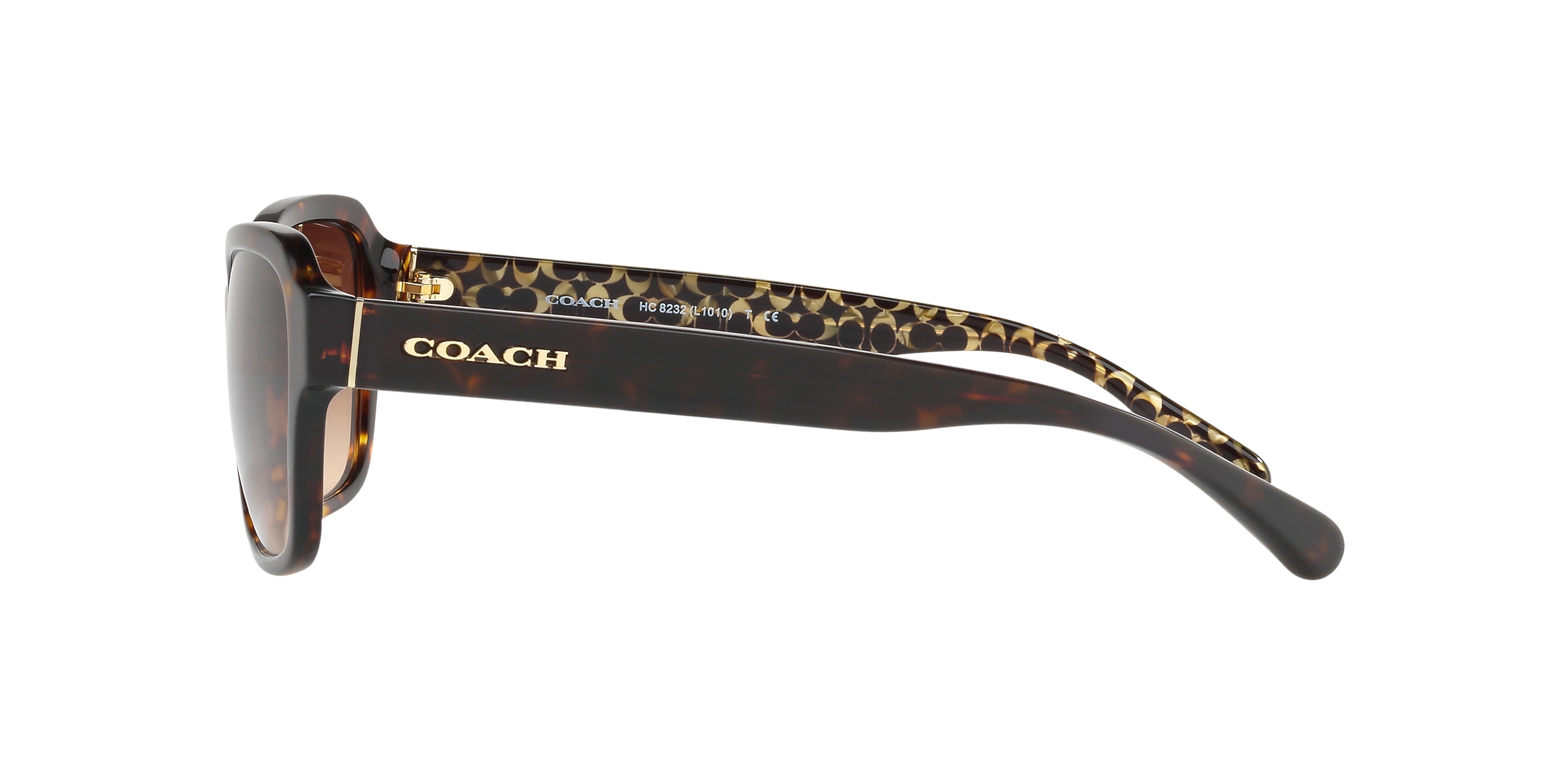 Coach Sunglasses HC8232 L1010