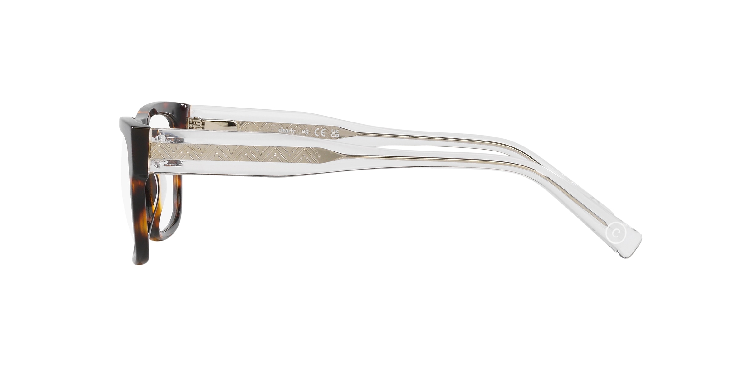 Clearly Glasses EARTH