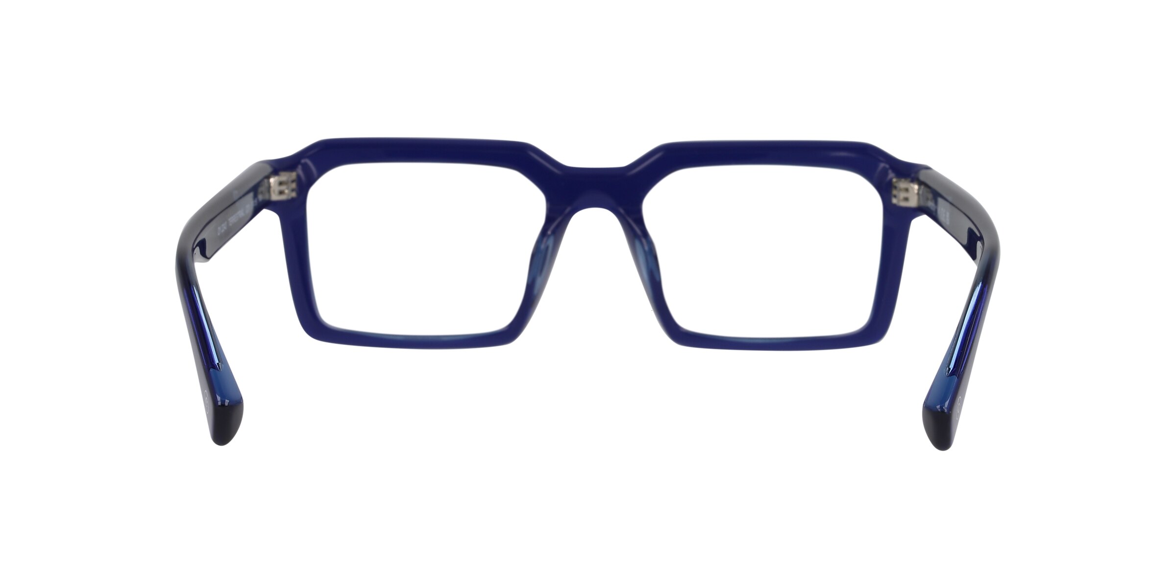 Clearly Glasses TERRESTRIAL