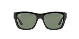 Ray-Ban Sunglasses RB4194