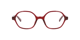 clearly Glasses whiz kid