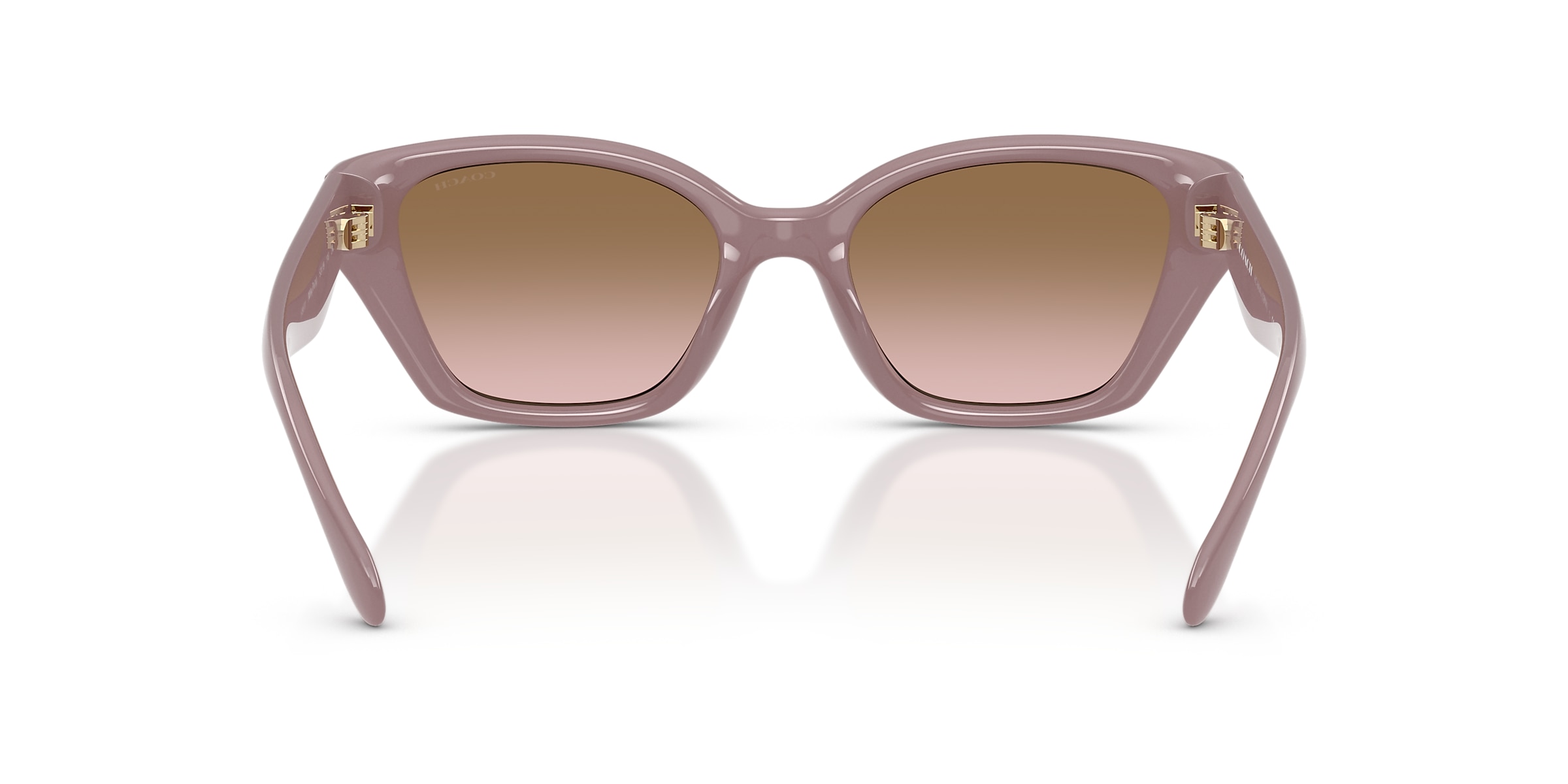 Coach Sunglasses HC8434U CBY91