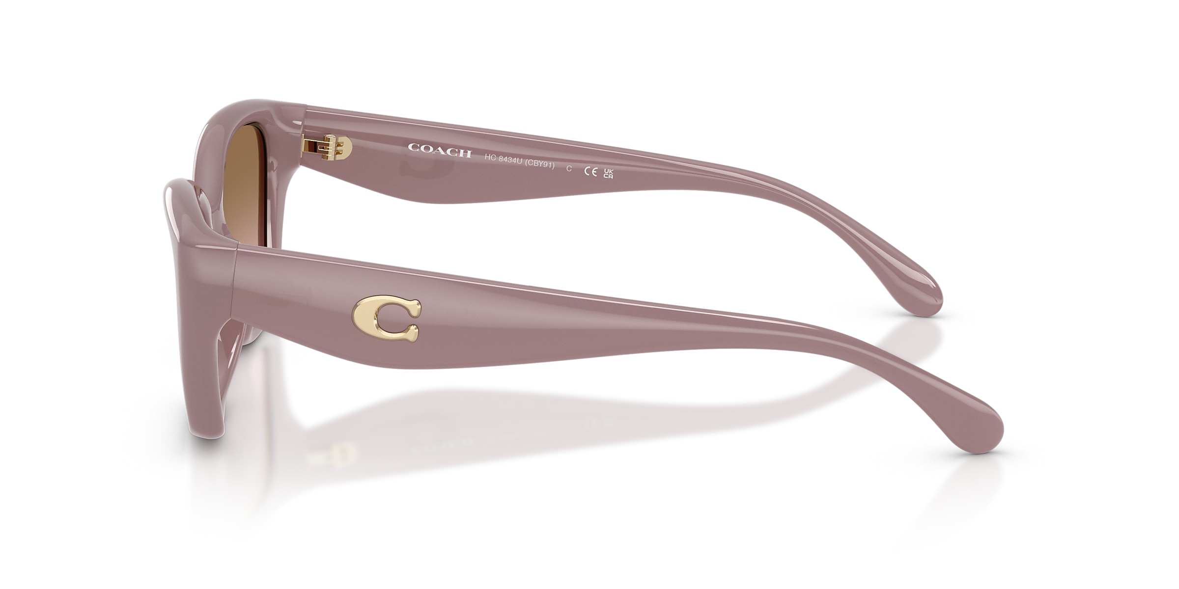 Coach Sunglasses HC8434U CBY91