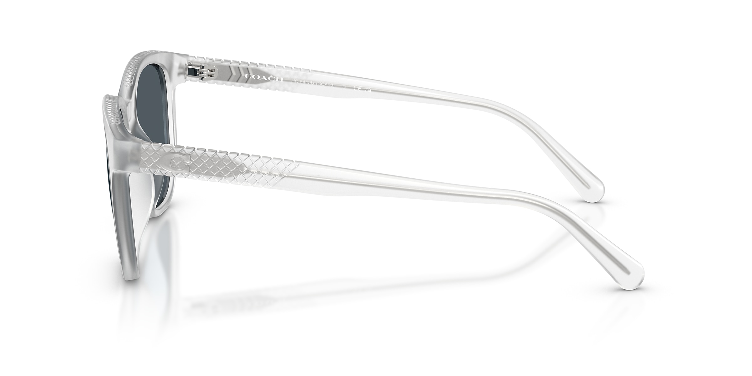 Coach Sunglasses HC8442U CCA00