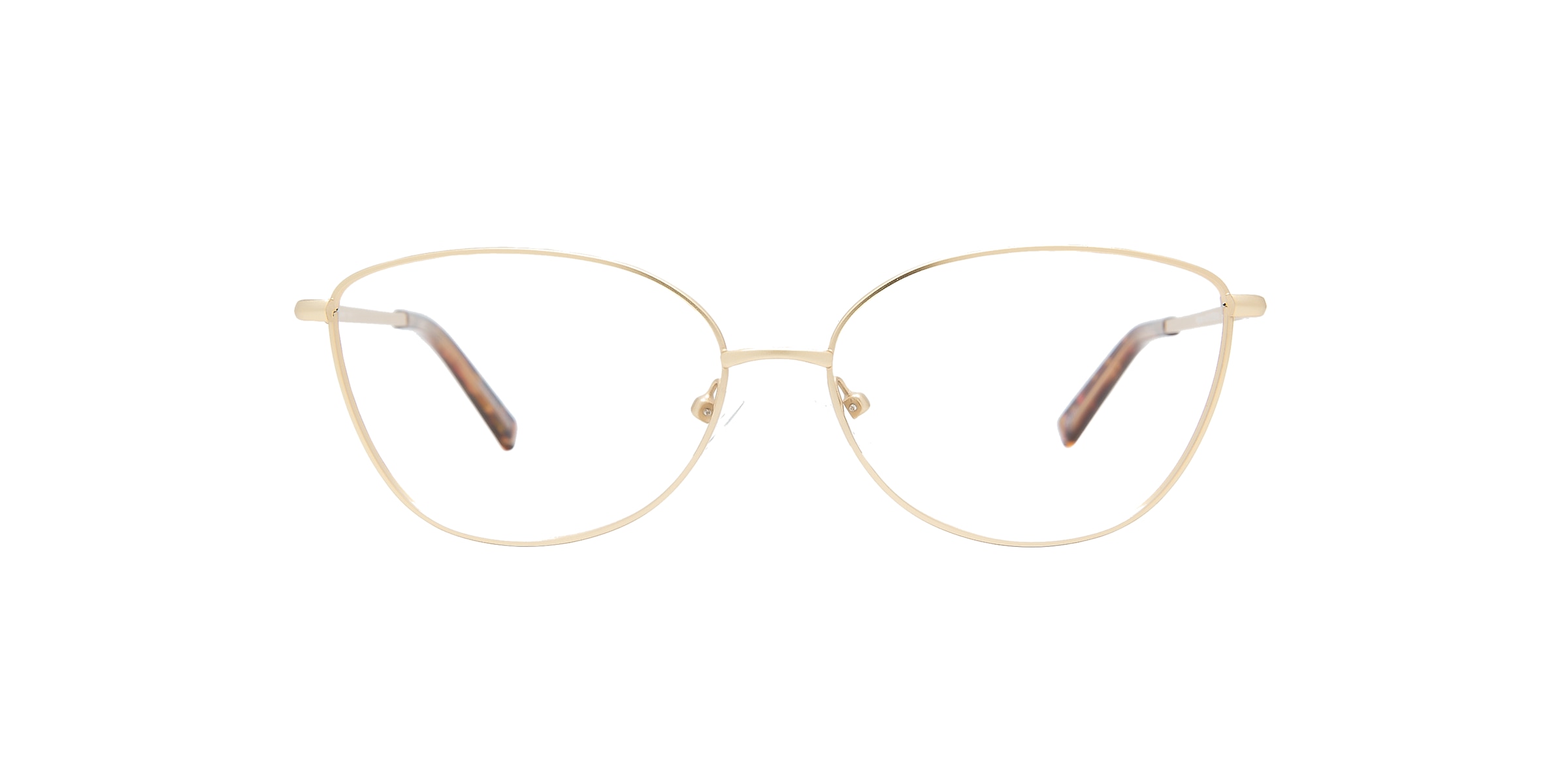 Clearly Glasses ALGONQUIN