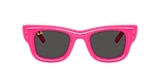 Ray-Ban Sunglasses RB4940 WAYFARER PUFFER