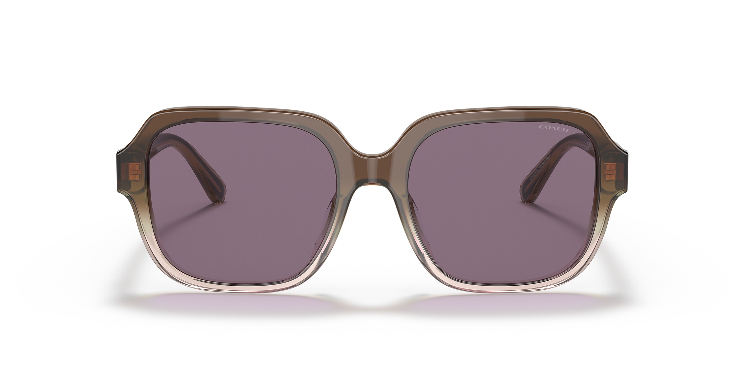 Coach Sunglasses HC8335U C7989