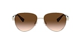 Coach Sunglasses HC7111 L1128