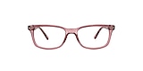 Clearly Glasses ALMONTE