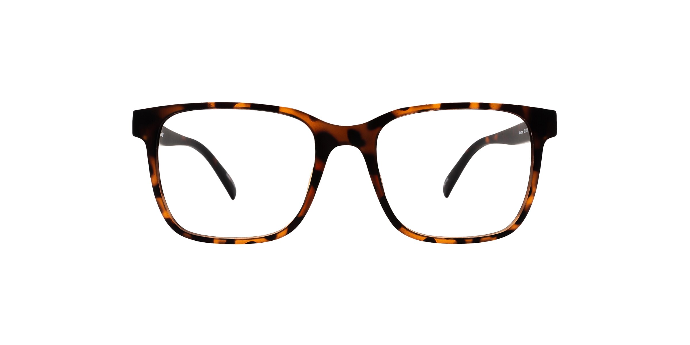 Clearly Glasses ALBATROSS