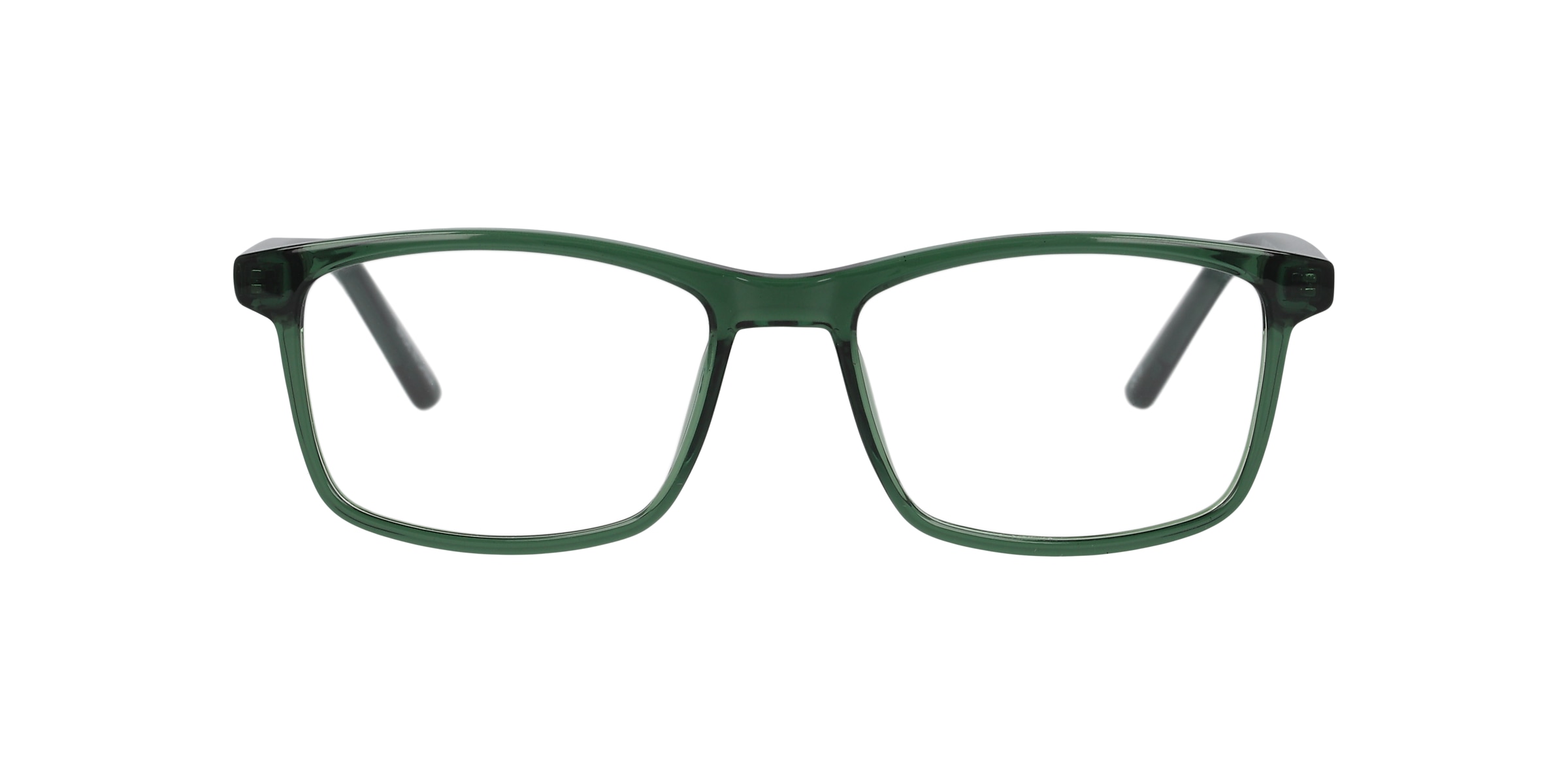 Clearly Glasses POLAR BEAR