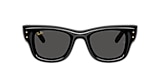 Ray-Ban Sunglasses RB4940 WAYFARER PUFFER