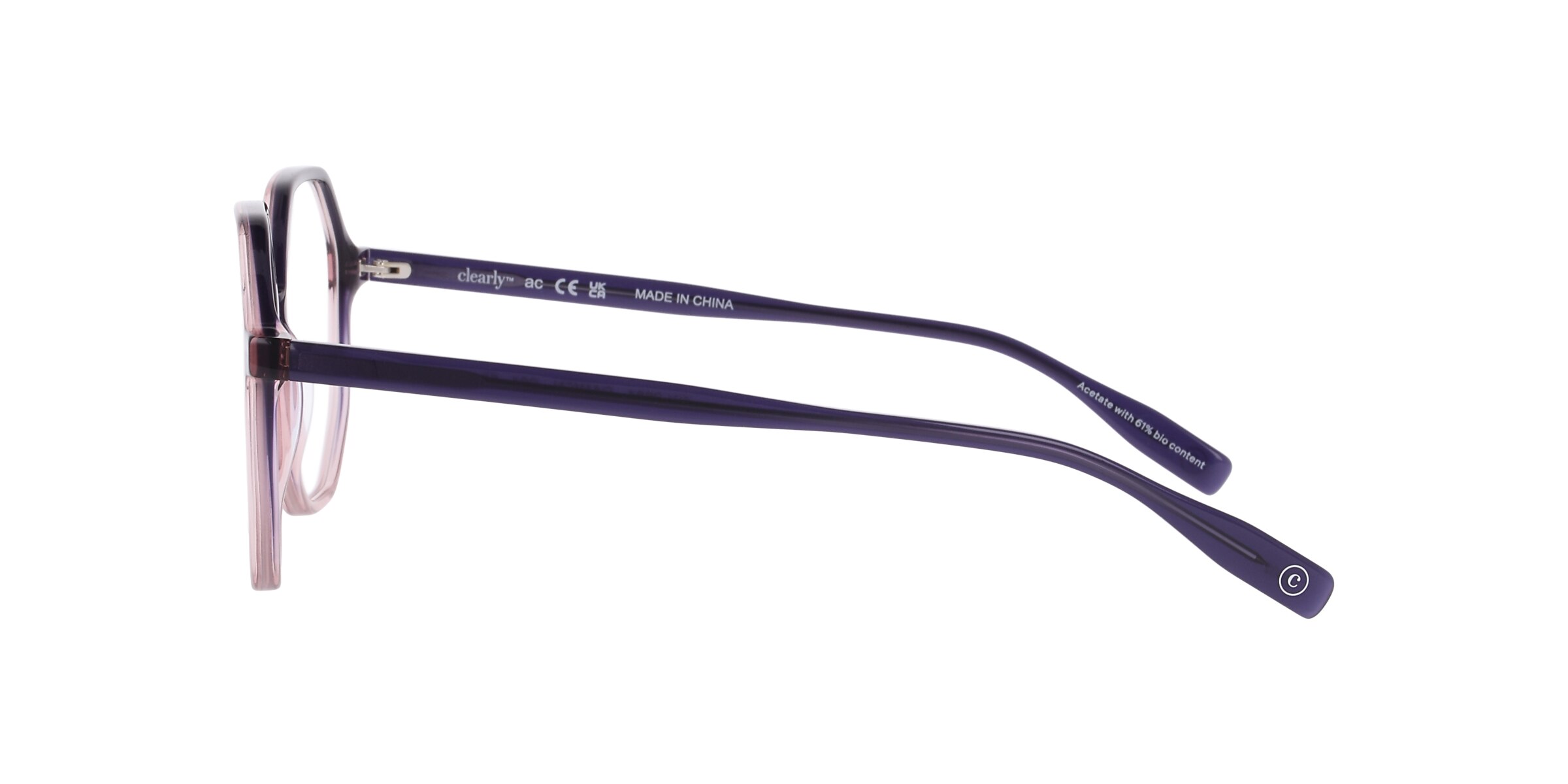 Clearly Glasses DARIEN