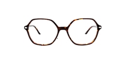 clearly Glasses isabelle