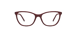 reincarnate Glasses maleo