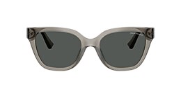 armani exchange Sunglasses ax4164su