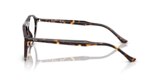 RB5441 OPTICS