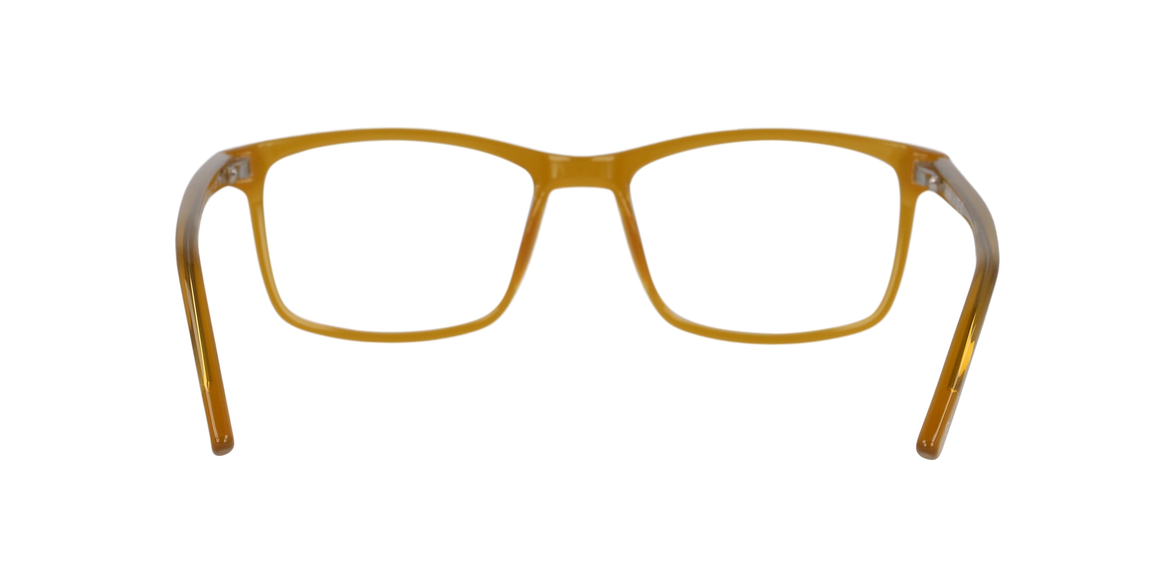 Clearly Glasses POLAR BEAR