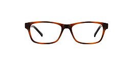 Clearly Glasses NORTON
