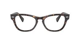 ray-ban Glasses rb2201v laramie optics