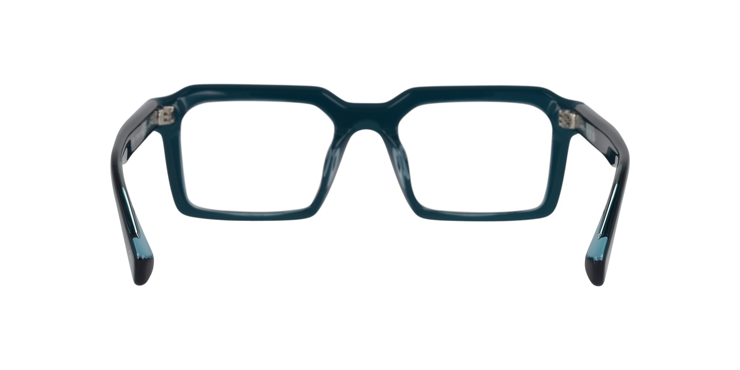 Clearly Glasses TERRESTRIAL