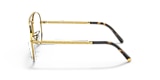 RB3625V NEW AVIATOR OPTICS