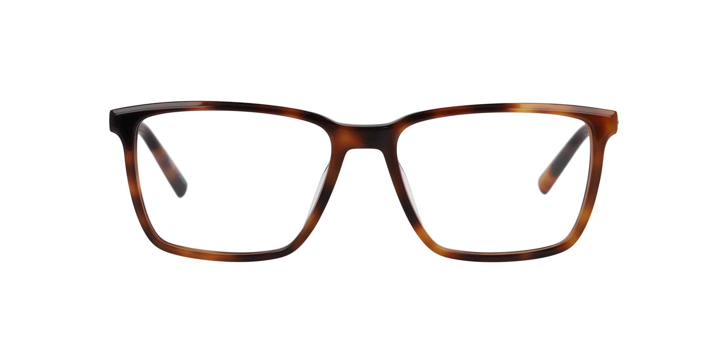 Clearly Glasses CEDAR CREST