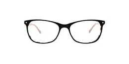 clearly Glasses cephus
