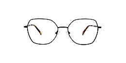 main and central Glasses hugheden
