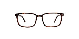 Reincarnate Glasses CURLEW