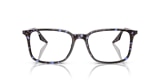 RB5421 OPTICS